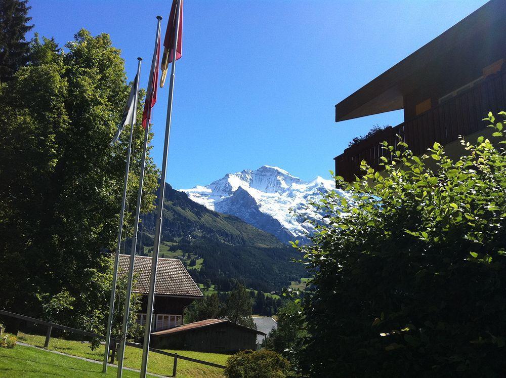 Minotel Bellevue Wengen Exteriör bild
