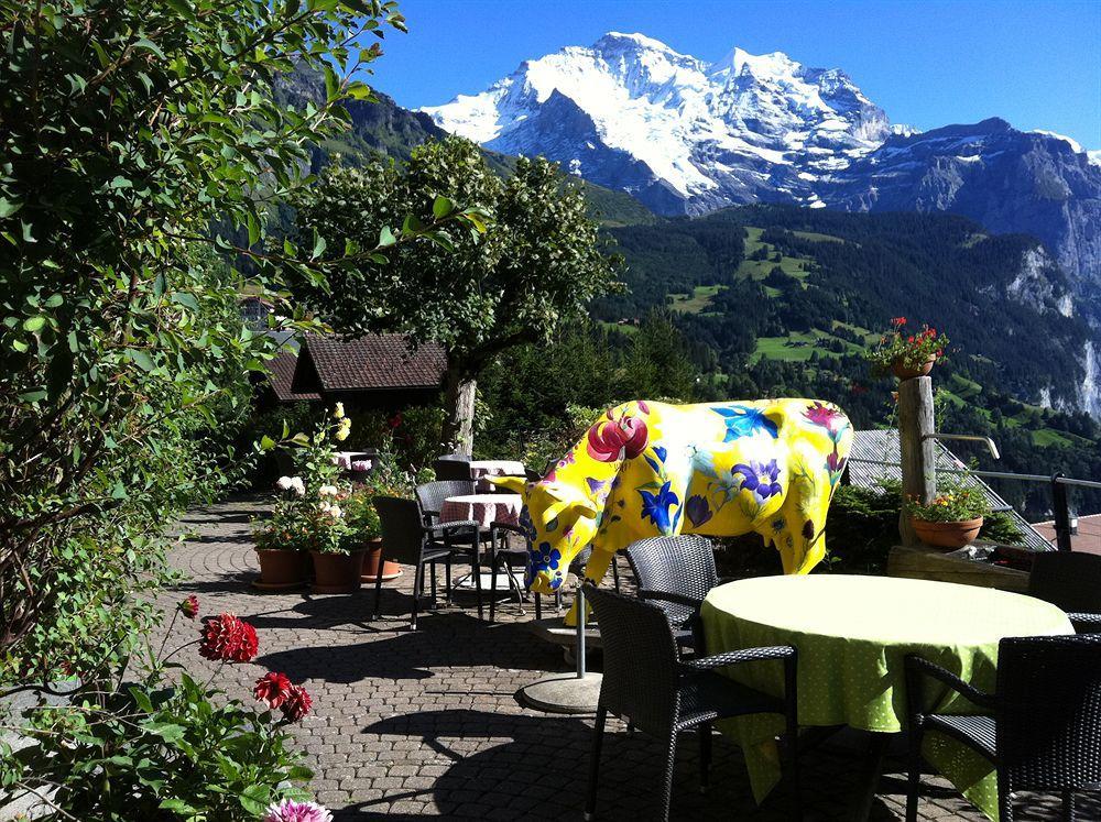 Minotel Bellevue Wengen Exteriör bild