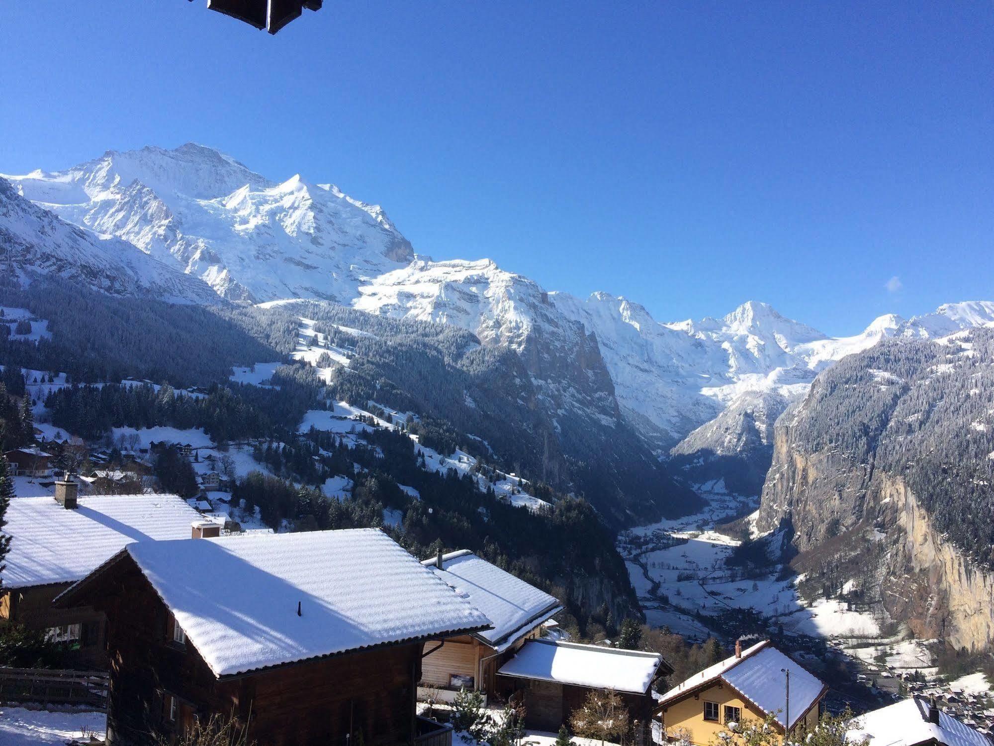 Minotel Bellevue Wengen Exteriör bild