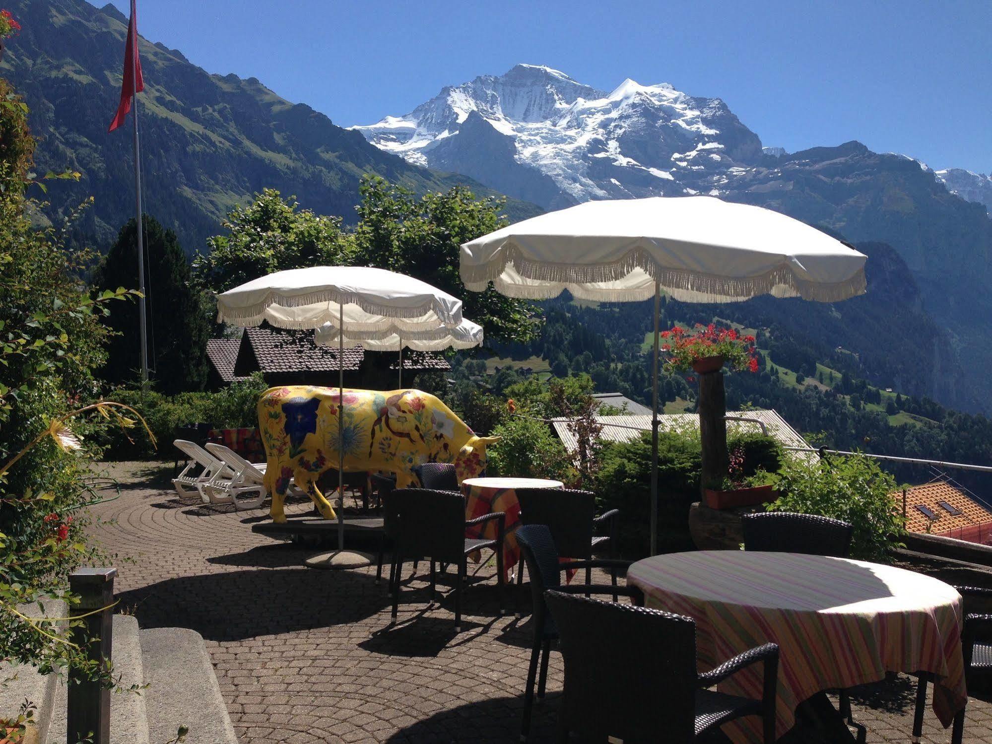 Minotel Bellevue Wengen Exteriör bild