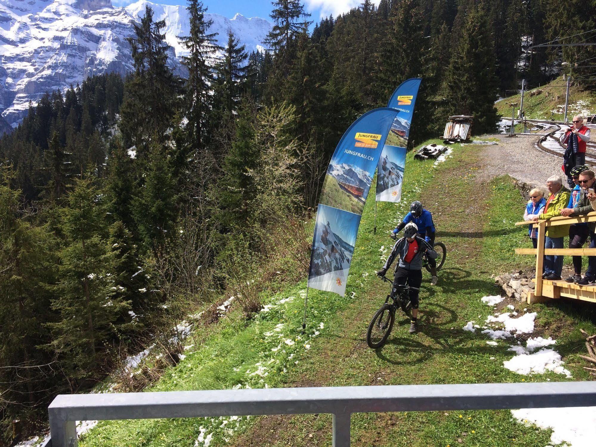 Minotel Bellevue Wengen Exteriör bild